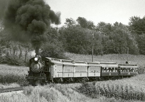 Is Rail Freight a Better Option Than Truck Freight?