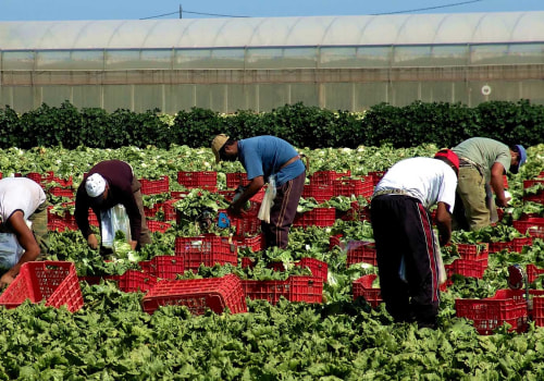 From Farm to Freight: How Train Shipping Keeps Agriculture Moving